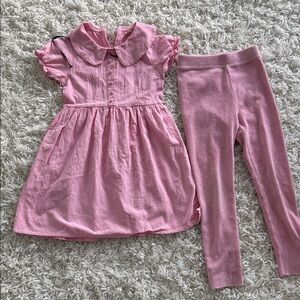Pink Toddler Dress and Leggings Set